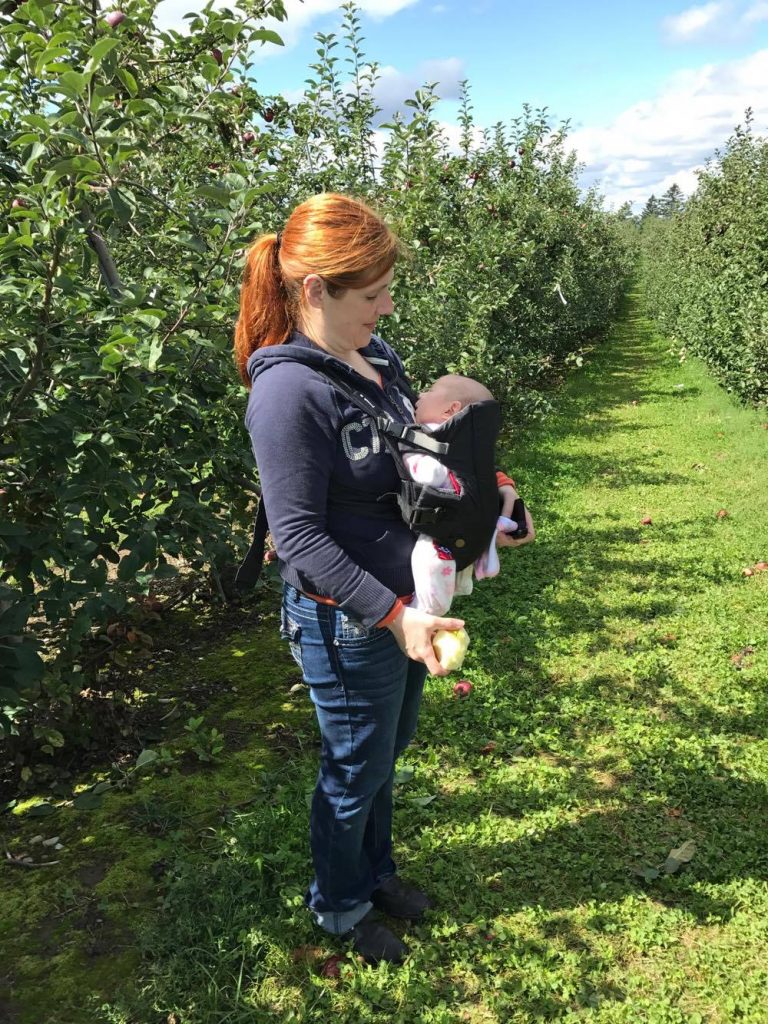 dear katie, apple picking at bowman orchards, meal time snacking